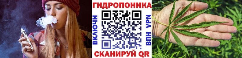 Названия наркотиков Кемерово Канабис  Галлюциногенные грибы  Кокаин  ГАШИШ  гидра как войти  Мефедрон 
