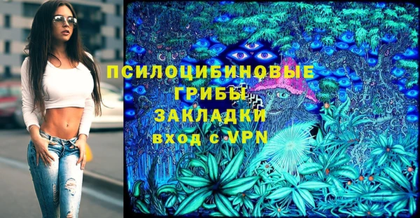 стафф Беломорск