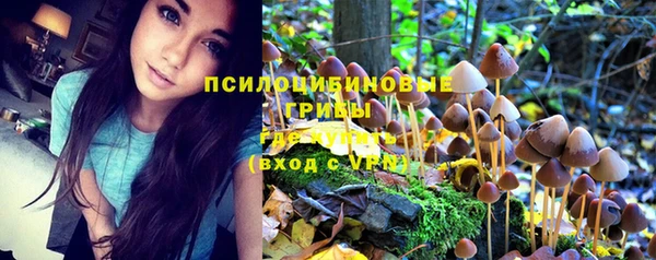 кристаллы Белоозёрский