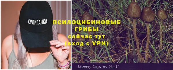 mix Белокуриха