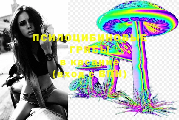 стафф Беломорск