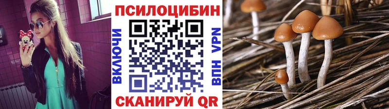 Галлюциногенные грибы мухоморы  OMG маркетплейс  Кемерово 
